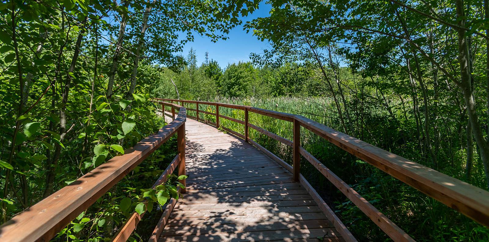 Walkway